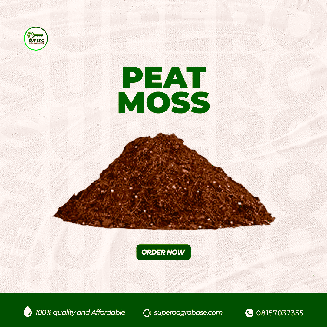 Peat moss - Growing Media