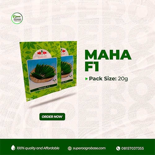 Maha F1 - Seeds