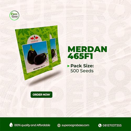Merdan F1 - Seeds