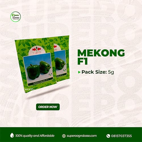 Mekong F1 - Seeds