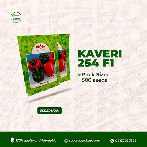 Kaveri F1 - Seeds