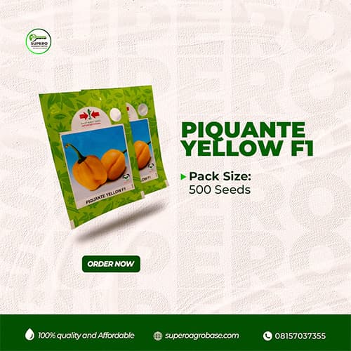 Piquante Yellow F1 - Seeds