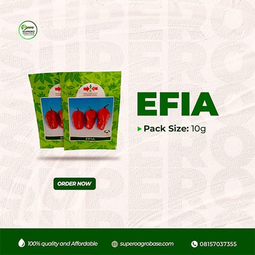 Efia - Seeds