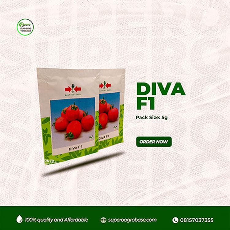 Diva F1 - Seeds