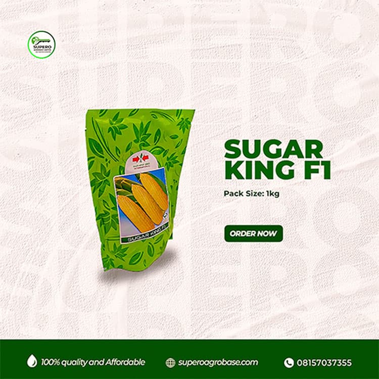 Sugar King F1 - Seeds