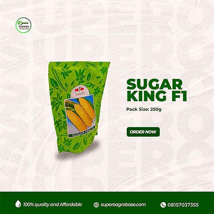 Sugar King F1 - Seeds