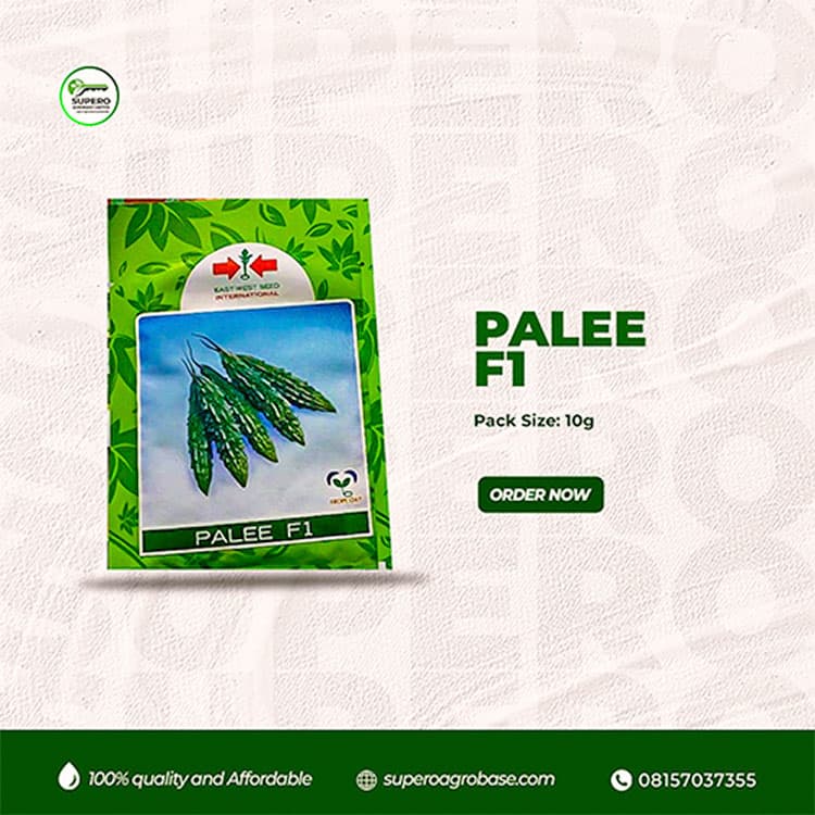 Palee F1 - Seeds