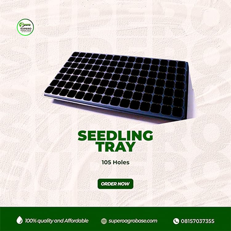 Seed Tray 105 cells - Growing Media